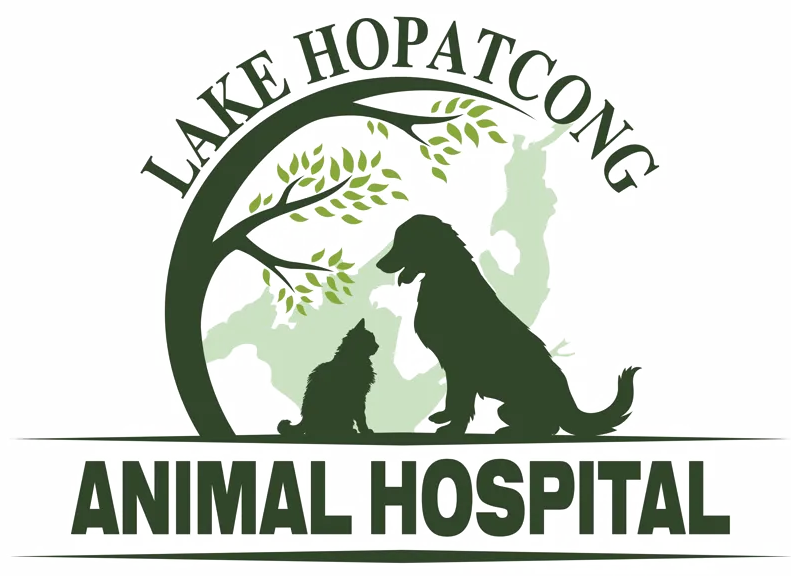 Lake Hopatcong Animal Hospital 